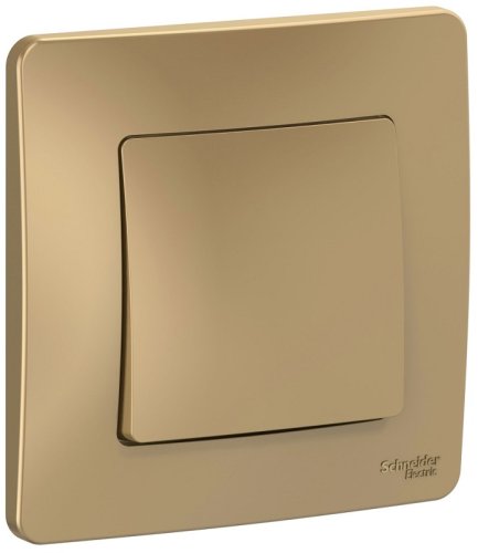 Выключатель с рамкой Systeme Electric Blanca 1-кл. титан картинка